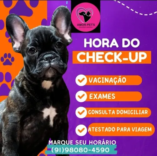 Consulta veterinária domiciliar!
