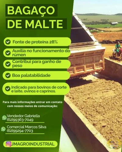Venda de cevada Úmida