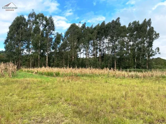 Terreno para Venda em Campo do Meio Campo Largo-PR - TER-0182
