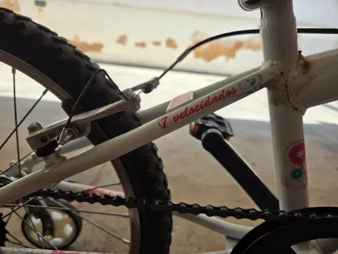 Bicicleta Caloi Ceci Aro 20 com 7 marchas (menina)