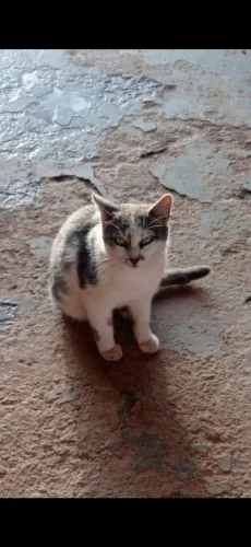 Doação