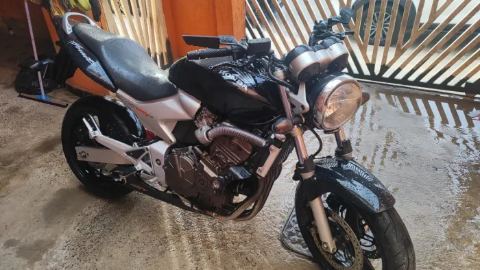 Hornet 2006