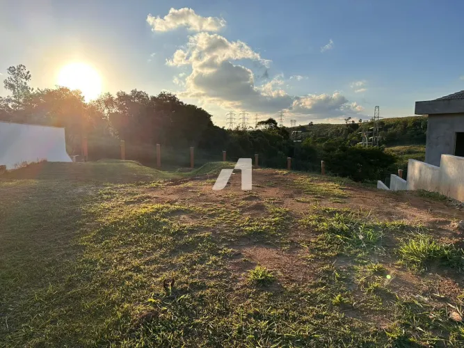 Burle Marx - Burle Max