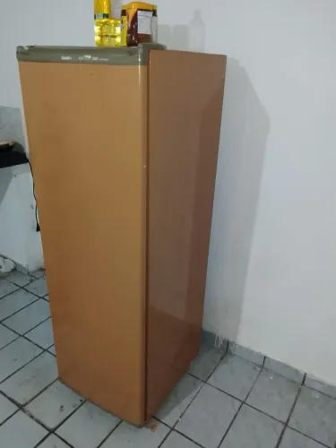 Vendo geladeira e cama!