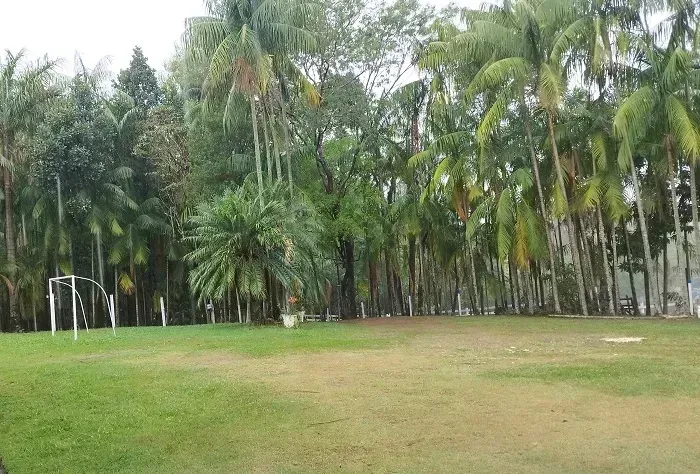 Área Rural 1.5 alqueires - Mandaguari - PR