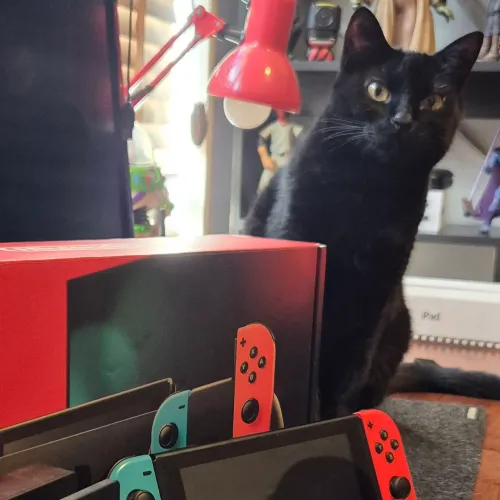 Nintendo Switch 32GB ? Perfeito Estado (Preço para Sair Hoje)