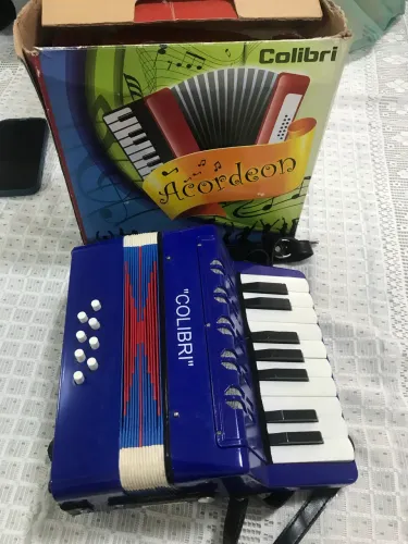 Mini Sanfona semi profissional para criança