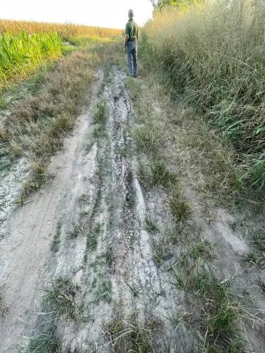fazenda de 506 alqueires de 4,84 área toda plana, plantando há 6 anos 710 hectar
