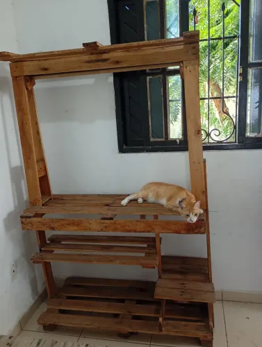 Arara cabideiro de pallet