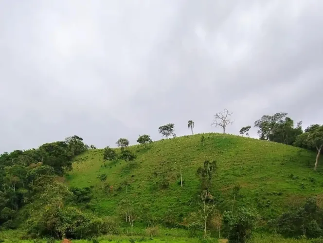 ? OPORTUNIDADE ÚNICA ? SÍTIO COM 7 HECTARES EM MEIO À NATUREZA! ?