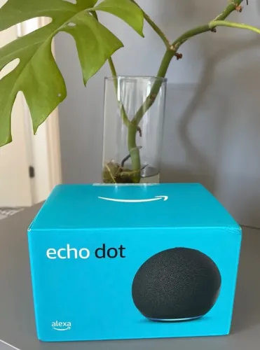 Alexa