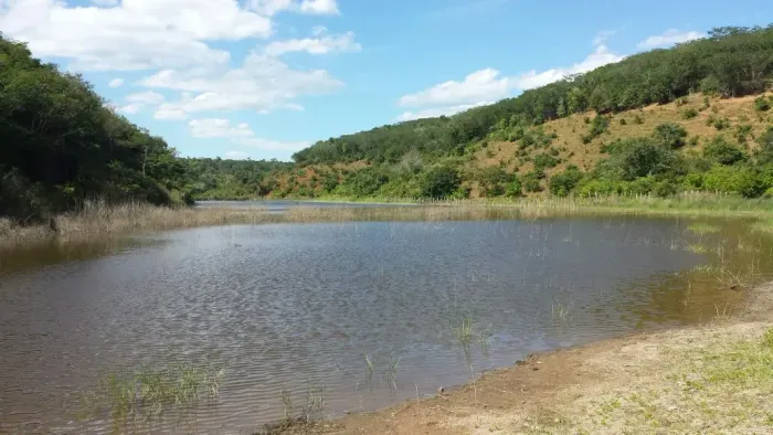 Fazenda para venda possui 2.250 hectares em Mundo Novo/Ba. Sensacional!