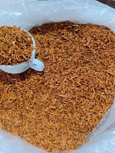 Açafrão pronto para Moer! 20,00 o Kilo
