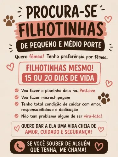 Procuro adoção filhote fêmea 