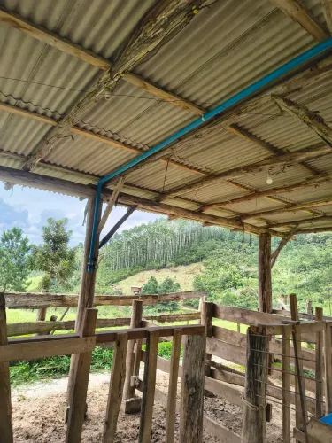 ordenhadeira para vacas