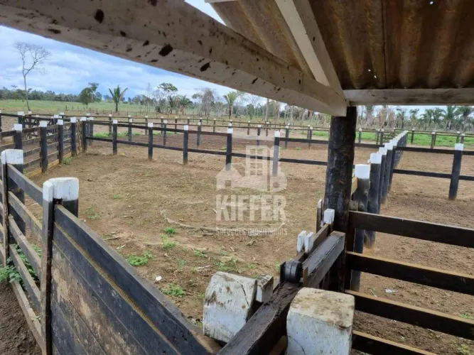 Fazenda com 6 dormitórios à venda, m² por R$ 62.000.000,00 - Zona Rural - Campos Altos/MG