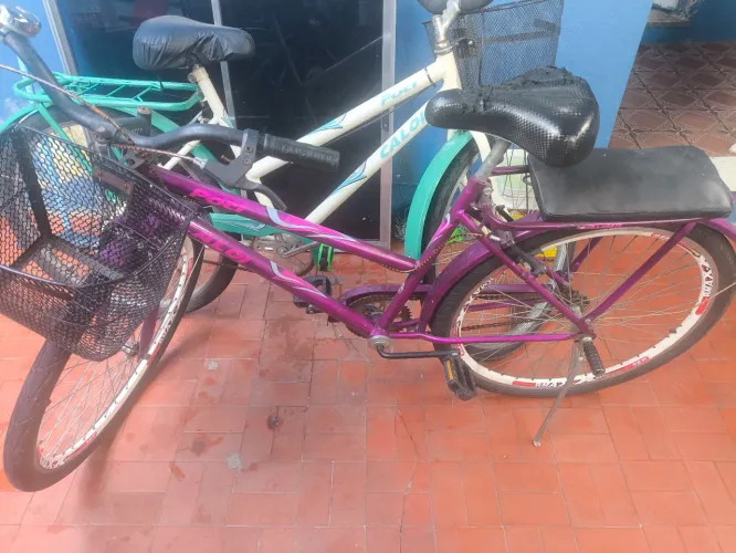 Bicicleta Poti 