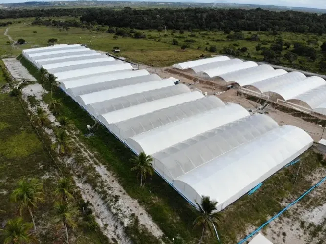 FAZENDA DE CULTIVO DE CAMARÃO À VENDA