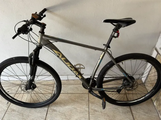 Bicicleta Audax