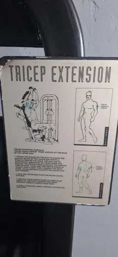 Tríceps francês máquina - extensão tríceps