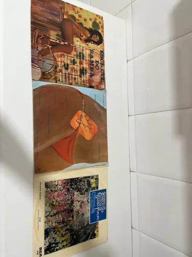 Vendo discos de vinil nacionais e internacionais. R$ 100 cada