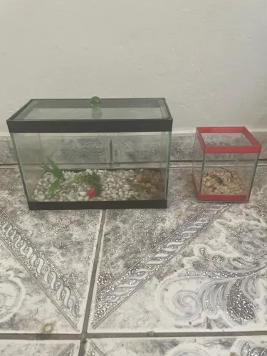Vendo aquário de 5 litros outro de 500 ml não faço entrega o de 500 ml está sem tampa 