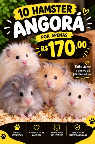 Hamster angorá para revenda