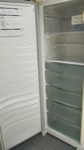 Freezer vertical