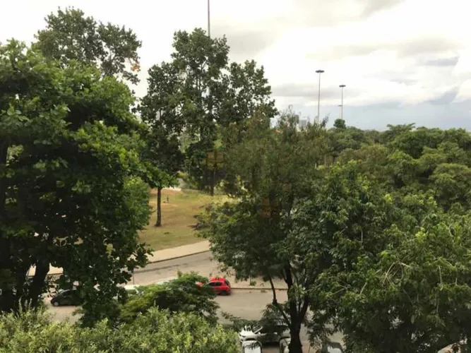 Apartamento : Padrão / Residencial / Flamengo
