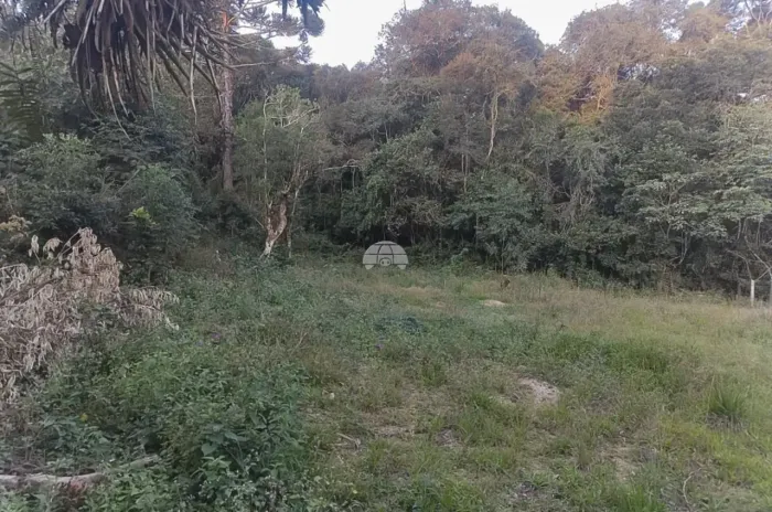 Chácara para venda em Quitandinha/PR