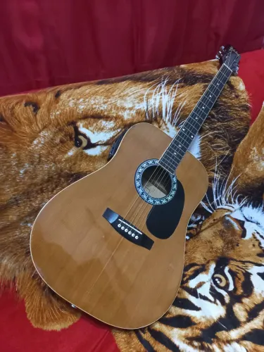 Violão Eletro-acústico Dolphin 7629