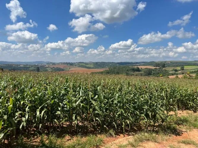 SÍTIO EM PIEDADE-SP | 9 ALQUEIRES |
