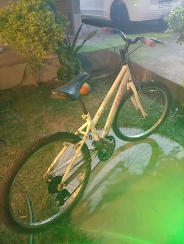 Bicicleta