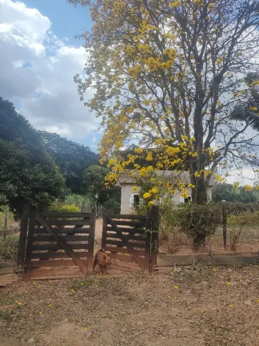 Chacara 1400m² ,há 100 metros da Br.