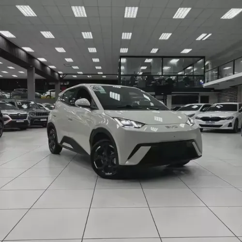 BYD Dolphin Mini (Elétrico) 2027