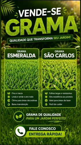 VENDO GRAMA