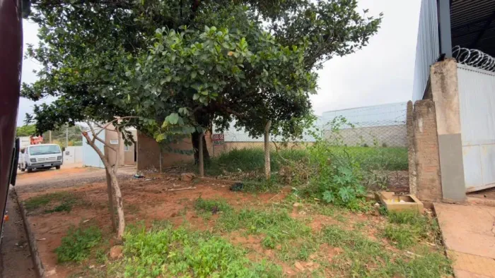 Campo Grande - Terreno Padrão - Vila Progresso