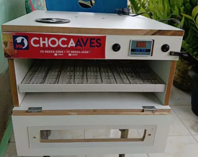 (PARACURU) CHOCADEIRA 70 OVOS + OVOSCÓPIO + TERMÔMETRO/HIGRÔMETRO