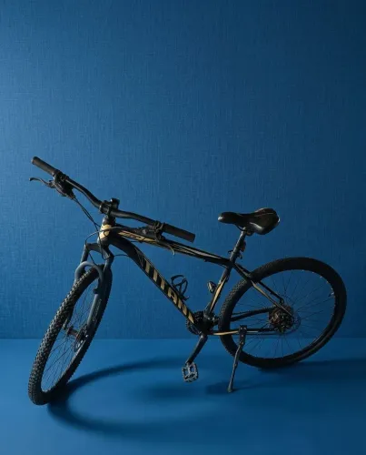 Bicicleta Aro 29