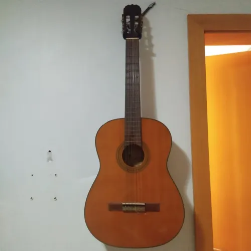 Violão Eagle PRO DH 69NT