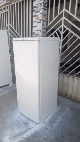 Geladeira de 1 porta, 60 dias de garantia, fazemos a entrega dela, 580 R$