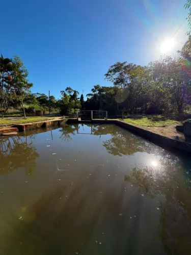 Sítio 04 Alqueires (193.600m2) em Bonfinópolis-GO