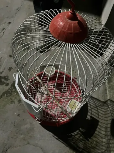 gaiola