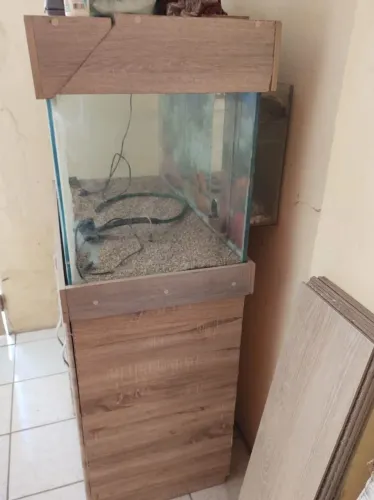 Vendo aquario com móvel 