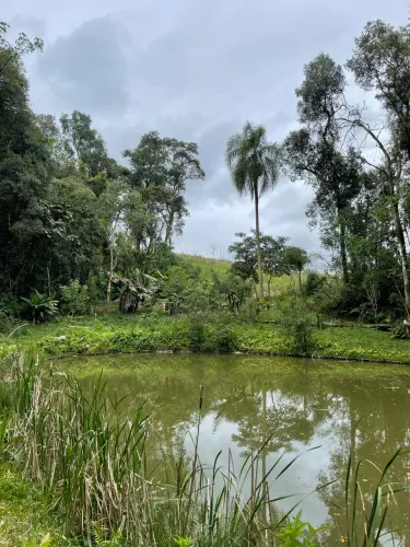 Área Rural 7,89 Hectares à Venda - Área Produtiva + Vegetação Nativa