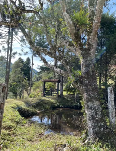 Fazenda em Campos de Cunha