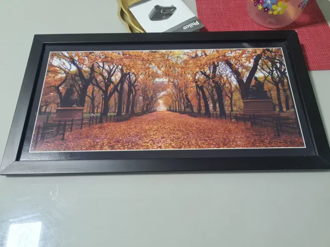Quadro emoldurado de fotografia do Central Park em Nova York