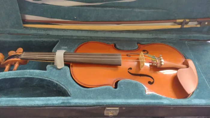 Violino Eagle semi novo