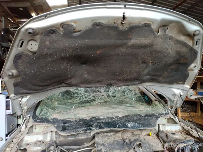 Feltro do capô Peugeot 307