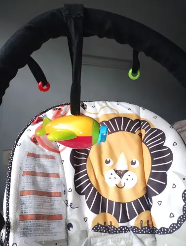 Cadeirinha balanço vibratória Fischer